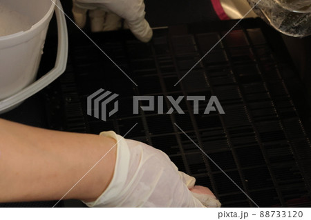年末の大掃除に細かい所まで綺麗にする作業風景 年末の大掃除に細かい所まで綺麗にする作業風景 88733120
