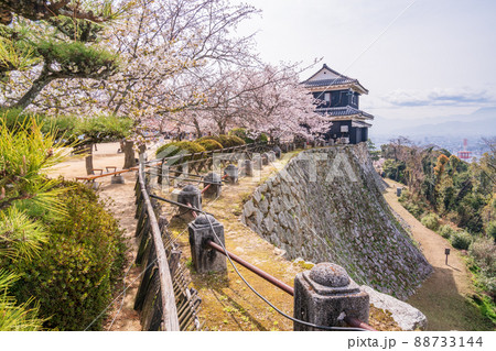 （愛媛県）松山城・馬具櫓　桜の季節 88733144