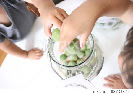 梅ジュース 梅ジュース 88733372