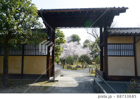 春の渉成園　庭園北口の門　京都市下京区 88733685