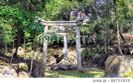 京都、木嶋坐天照御魂神社(蚕ノ社)の三柱鳥居 京都、木嶋坐天照御魂神社(蚕ノ社)の三柱鳥居 88733939