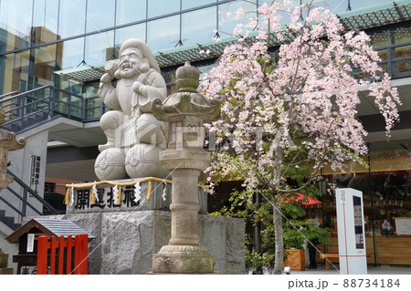 神田神社のだいこく様尊像と桜　東京都千代田区外神田二丁目 88734184