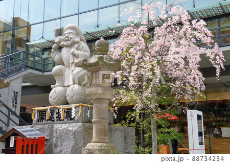 神田神社のだいこく様尊像と桜　東京都千代田区外神田二丁目 88734234