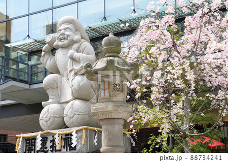 神田神社のだいこく様尊像と桜　東京都千代田区外神田二丁目 88734241