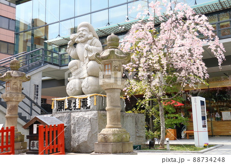 神田神社のだいこく様尊像と桜 東京都千代田区外神田二丁目 神田神社のだいこく様尊像と桜 東京都千代田区外神田二丁目 88734248