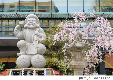 神田神社のだいこく様尊像と桜　東京都千代田区外神田二丁目 88734372