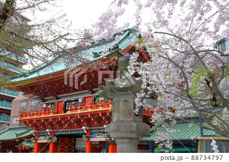 神田神社の隨神門と桜　東京都千代田区外神田 88734797