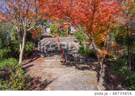 三重県鈴鹿市　秋の石薬師寺の山門から境内に下りる石段 88734858