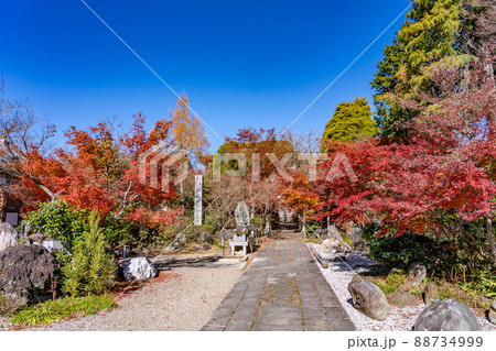 三重県鈴鹿市 紅葉の美しい秋の石薬師寺の境内 三重県鈴鹿市 紅葉の美しい秋の石薬師寺の境内 88734999