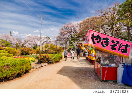 沼田城址公園桜祭り2 沼田城址公園桜祭り2 88735828