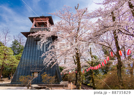 鐘楼と花吹雪 88735829