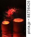 竹灯りと彼岸花 88736426
