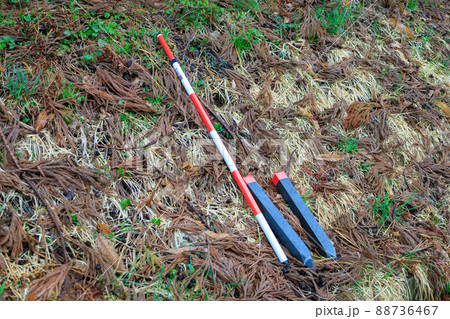 土地の測量 山林 杭 イメージ 土地の測量 山林 杭 イメージ 88736467