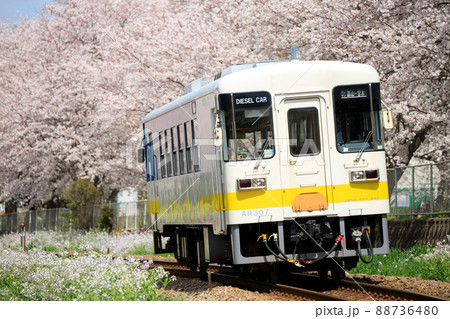 満開の桜とレールバス（甘木鉄道 AR300形） 88736480