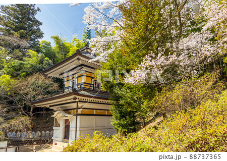 桜と多宝塔 88737365