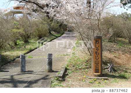 2021日本で一番幸せな町に選ばれた埼玉県鳩山町のシンボルおしゃもじ山公園入口を桜と青空展望台が彩る 2021日本で一番幸せな町に選ばれた埼玉県鳩山町のシンボルおしゃもじ山公園入口を桜と青空展望台が彩る 88737462