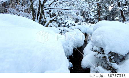 金沢の兼六園 雪景色 88737553