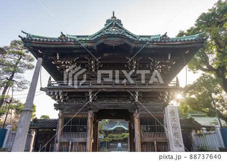 柴又帝釈天 88737640
