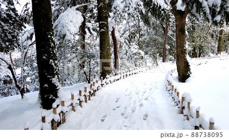 金沢の兼六園 雪景色 88738095