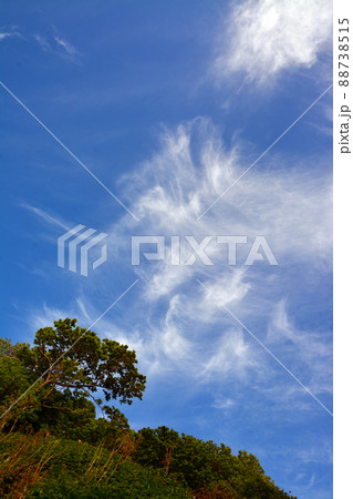 オタモイ海岸~昭和の幻のリゾート地「オタモイ遊園地」 オタモイ海岸~昭和の幻のリゾート地「オタモイ遊園地」 88738515