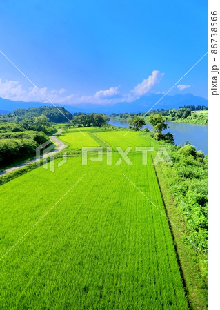 常盤大橋より望む棚田と高社山 常盤大橋より望む棚田と高社山 88738566