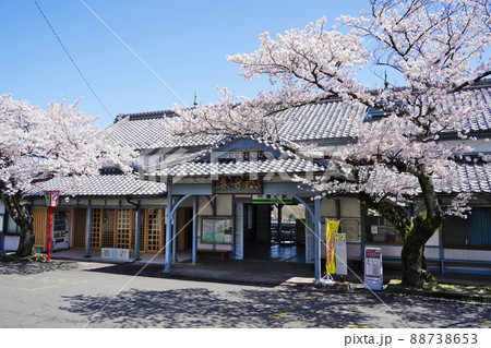 養老駅　桜 88738653