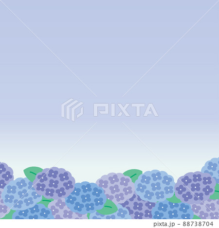 紫陽花の背景イラスト 正方形のイラスト素材