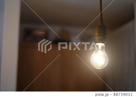 裸電球　アンティークな照明　 88739031
