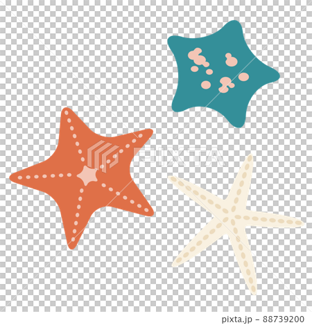 Starfish illustration 88739200
