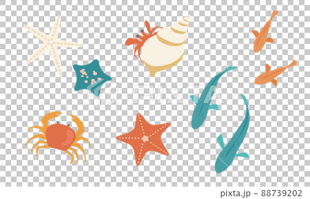 海邊生物的插圖 88739202