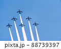 ブルーインパルス展示飛行 ブルーインパルス展示飛行 88739397
