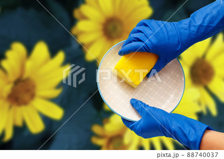 Woman's hands in protective gloves with sponge and plate. 88740037