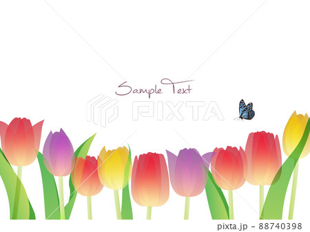 青い蝶々の舞うカラフルなチューリップの背景素材のイラスト素材