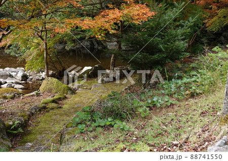 滑床自然森林公園の渓流に降りる歩道 滑床自然森林公園の渓流に降りる歩道 88741550