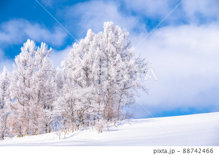 《北海道》冬の美瑛・樹氷と雪原の大地 《北海道》冬の美瑛・樹氷と雪原の大地 88742466