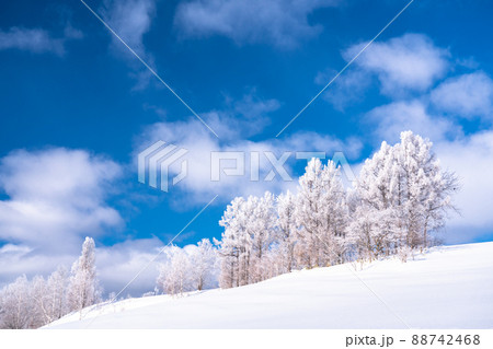《北海道》冬の美瑛・樹氷と雪原の大地 88742468