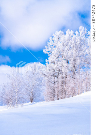 《北海道》冬の美瑛・樹氷と雪原の大地 88742478