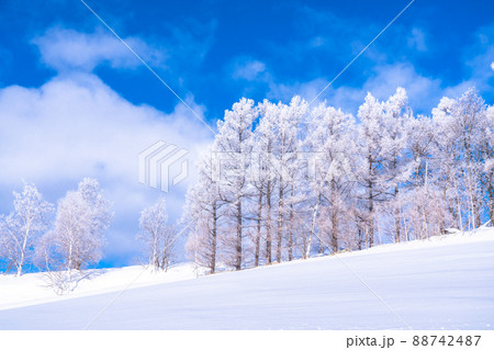 《北海道》冬の美瑛・樹氷と雪原の大地 《北海道》冬の美瑛・樹氷と雪原の大地 88742487