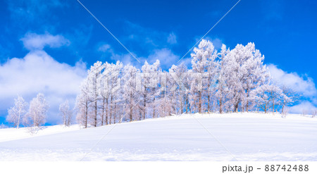 《北海道》冬の美瑛・樹氷と雪原の大地 88742488