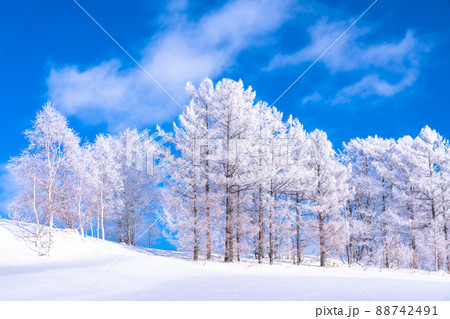 《北海道》冬の美瑛・樹氷と雪原の大地 88742491