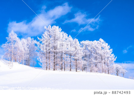 《北海道》冬の美瑛・樹氷と雪原の大地 88742493