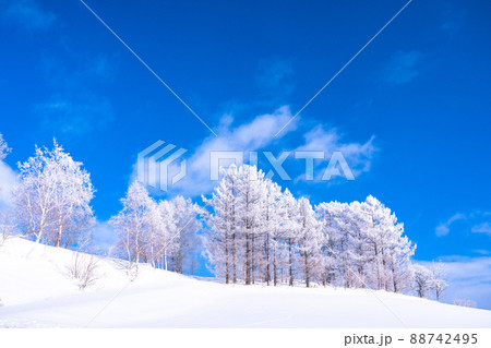 《北海道》冬の美瑛・樹氷と雪原の大地 88742495