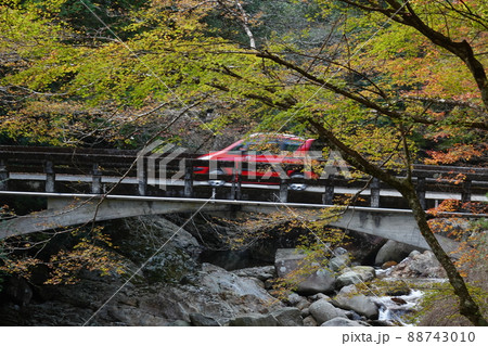 滑床自然森林公園の万年橋を走る自動車 滑床自然森林公園の万年橋を走る自動車 88743010