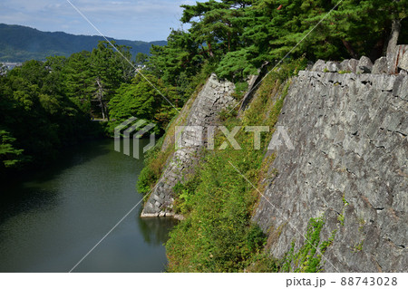 伊賀上野城より 88743028