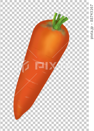 carrot carrot 88743167