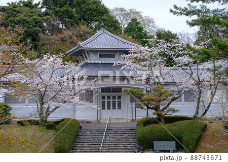 伊勢 神宮徴古館 さくら 伊勢 神宮徴古館 さくら 88743671