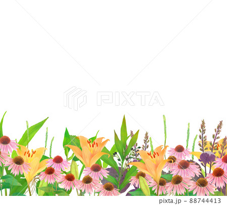 ポップで優しい色使いの北欧風ハーブのオシャレな植物の白バックベクターフレームイラスト素材のイラスト素材