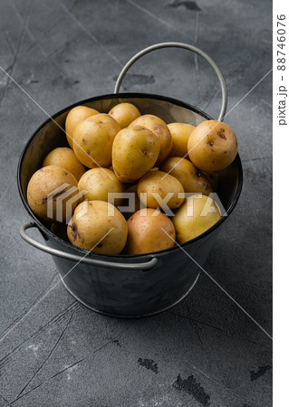 Organic White Baby Potatoes, on gray stone table background, with copy space for text Organic White Baby Potatoes, on gray stone table background, with copy space for text 88746076
