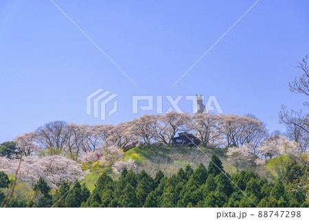 春の船岡城址公園と一目千本桜 春の船岡城址公園と一目千本桜 88747298
