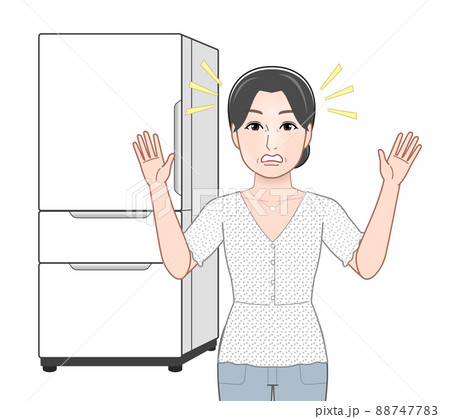 若い女性と冷蔵庫 88747783